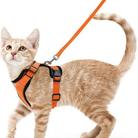 Cat Harness and Leash for Walking  Escape-Proof | Soft Adjustable Vest | Easy Control