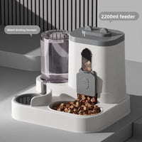 Automatic Pet Feeder & Water Dispenser Set