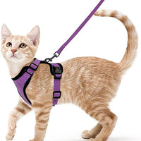 Cat Harness and Leash for Walking  Escape-Proof | Soft Adjustable Vest | Easy Control