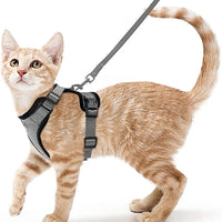Cat Harness and Leash for Walking  Escape-Proof | Soft Adjustable Vest | Easy Control