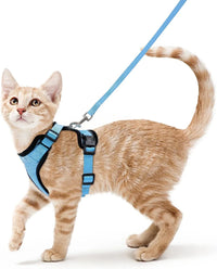 Cat Harness and Leash for Walking  Escape-Proof | Soft Adjustable Vest | Easy Control