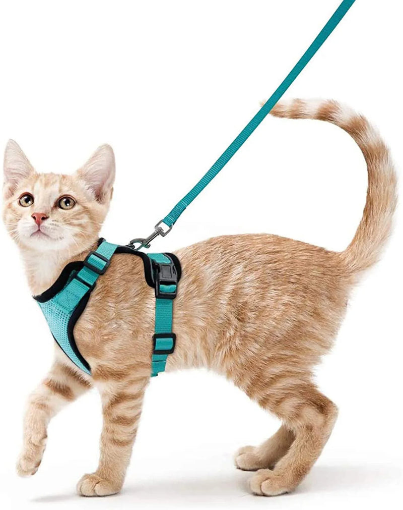 Cat Harness and Leash for Walking  Escape-Proof | Soft Adjustable Vest | Easy Control