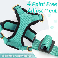 Cat Harness and Leash for Walking  Escape-Proof | Soft Adjustable Vest | Easy Control
