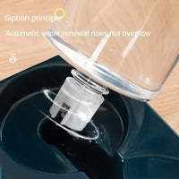 Automatic Pet Feeder & Water Dispenser Set