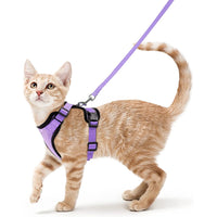 Cat Harness and Leash for Walking  Escape-Proof | Soft Adjustable Vest | Easy Control