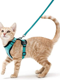 Cat Harness and Leash for Walking  Escape-Proof | Soft Adjustable Vest | Easy Control