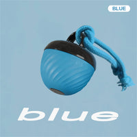 Interactive Motion-Activated Pet Ball for Dogs – Automatic Rolling Toy for Puppies & Small Dogs, USB Rechargeable Smart Ball