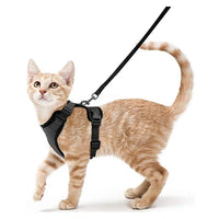 Cat Harness and Leash for Walking  Escape-Proof | Soft Adjustable Vest | Easy Control