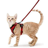 Cat Harness and Leash for Walking  Escape-Proof | Soft Adjustable Vest | Easy Control
